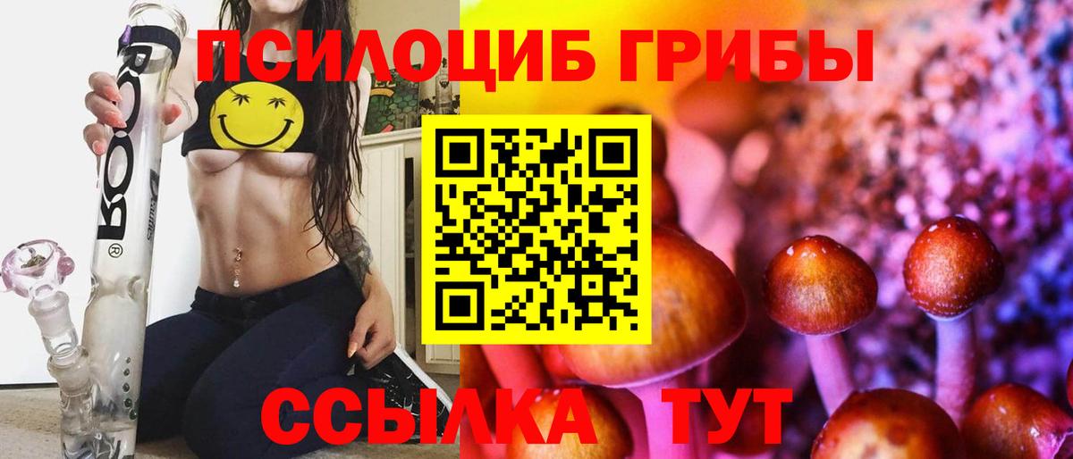 Галлюциногенные грибы Psilocybine cubensis  Галлюциногенные грибы мицелий  Вход с VPN  Учалы 